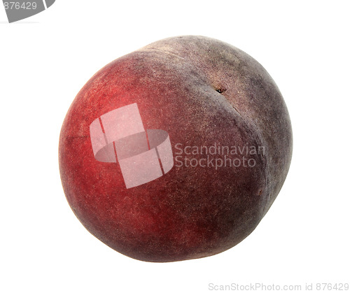 Image of Single dark-red peach.