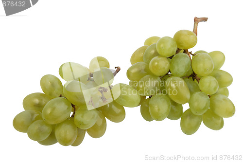 Image of Two bunch of white grape.