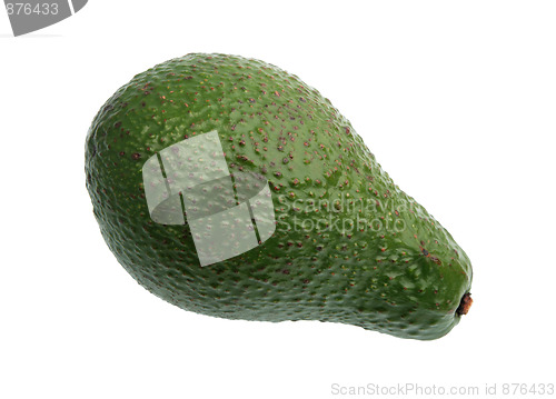 Image of Single green avocado.