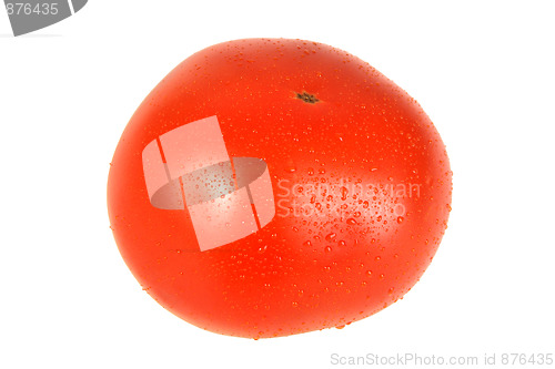 Image of Dew on red single tomato.