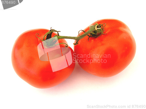 Image of tomatoes