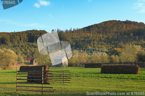 Image of Landscape in Bucovina,Romania