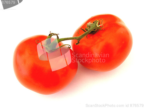 Image of tomatoes