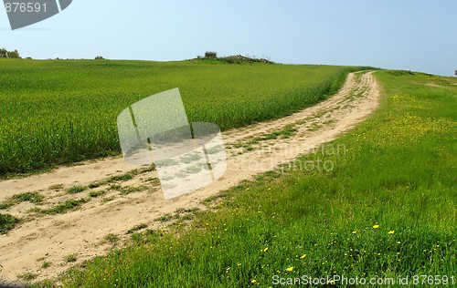 Image of Country road among green hills and meadows