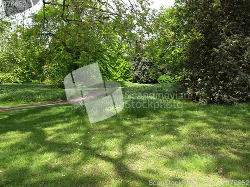 Image of Greenery background