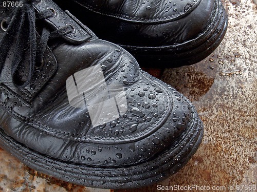 Image of Wet Shoes