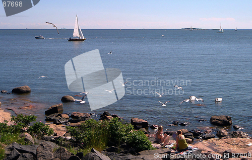 Image of Rocky beach