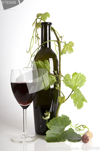 Image of Glass red wine and bottle with grape´s leafs