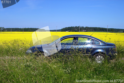 Image of The car on a background of a glade of yellow flowers