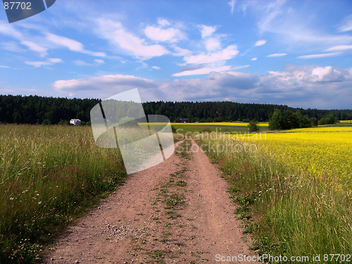 Image of Road, meadow, the sky and clouds