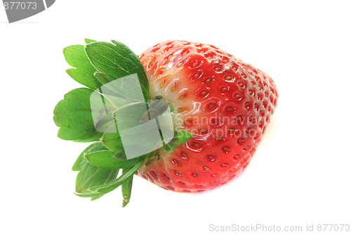 Image of strawberry