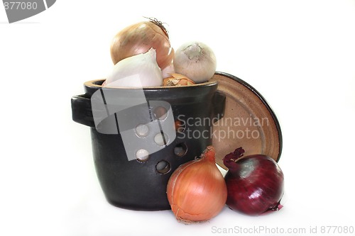 Image of Onion Pot