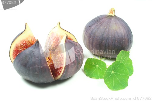 Image of fresh figs