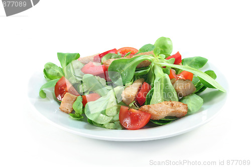 Image of Mixed salad with chicken strips