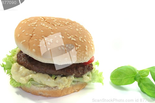 Image of Hamburger with fresh vegetables