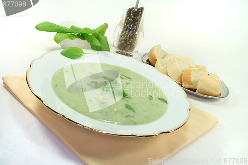 Image of Herbs soup