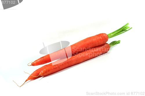 Image of Carrots