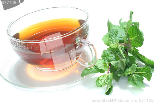 Image of mint tea