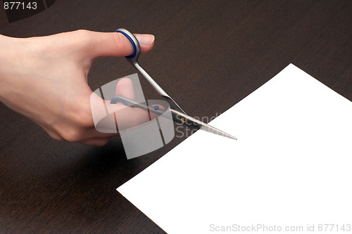 Image of Cutting the paper