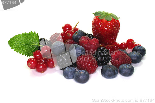 Image of Berries