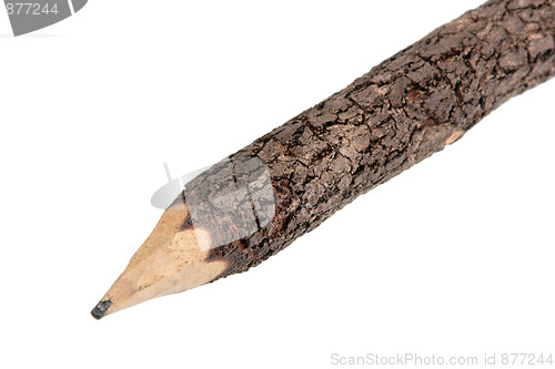 Image of Part of single wood pencil.