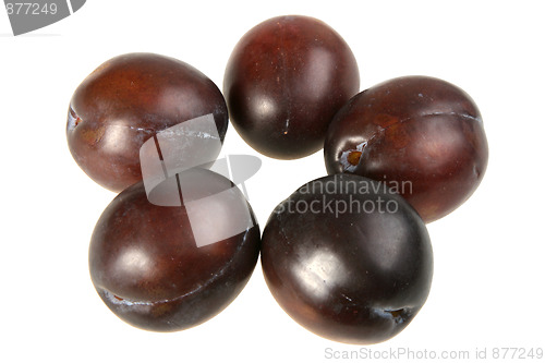 Image of Five of dark-purple plums.