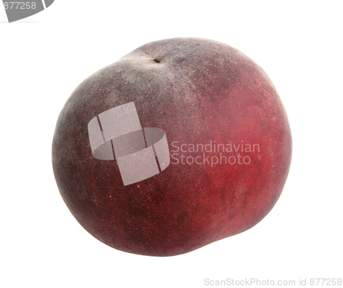 Image of Single dark-red peach.