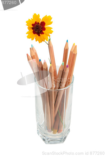 Image of Set of multicolored wood pencils and one yellow flower in glass.