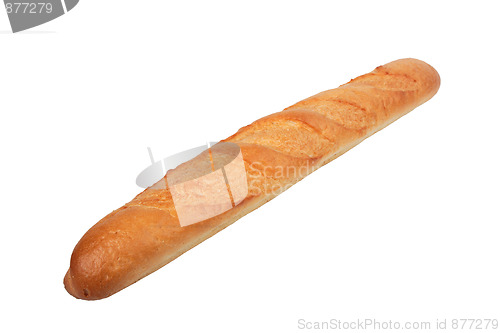 Image of Single loaf of baguette.