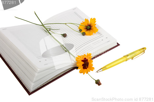 Image of Empty open diary, yellow flowers and yellow ball point pen.