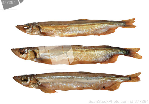 Image of Group of three a smoked golden fishs.