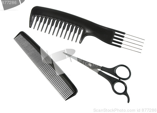 Image of Two black professional combs and scissors.