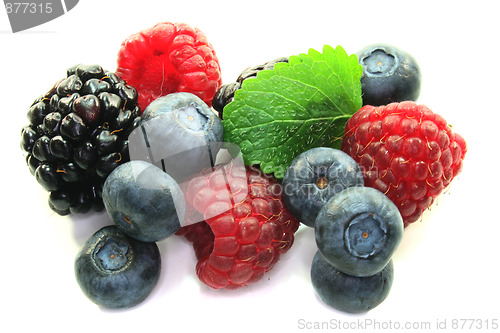 Image of Berries