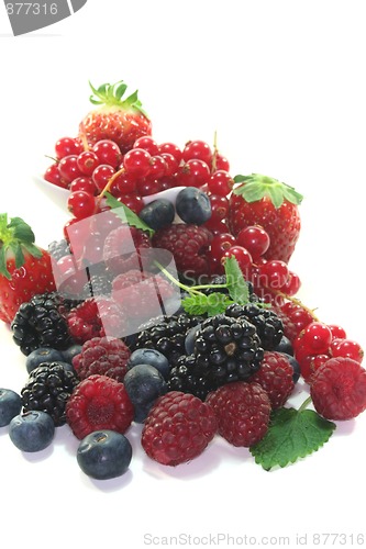 Image of different berries
