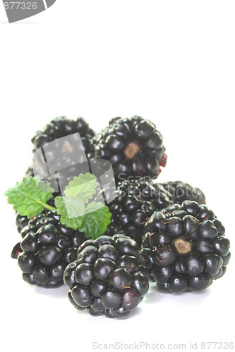 Image of fresh blackberries
