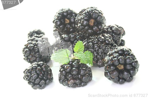 Image of fresh blackberries