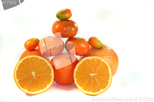 Image of citrus fruits