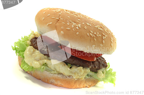 Image of Hamburger with fresh vegetables