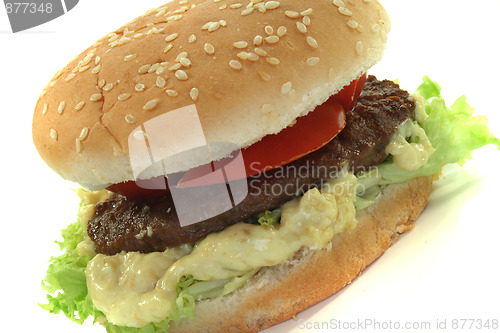 Image of Hamburger with fresh vegetables