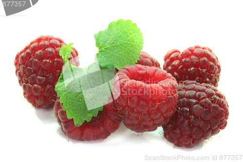 Image of fresh raspberries