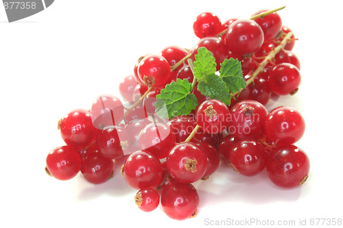 Image of fresh currant