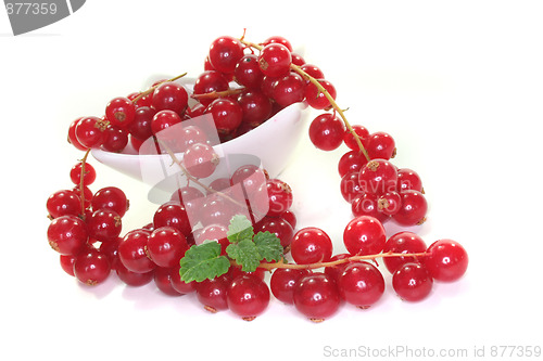 Image of fresh currant