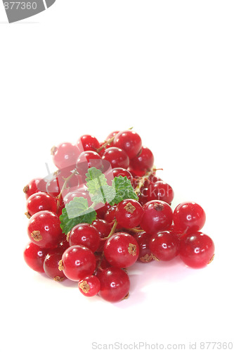 Image of fresh currant
