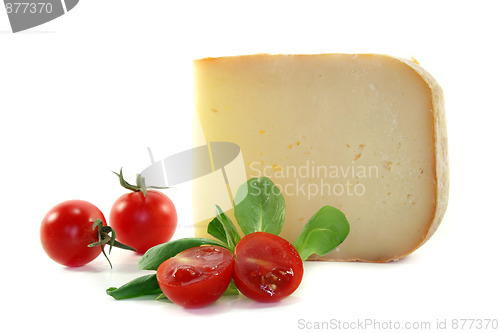 Image of Piece of cheese with tomatoes