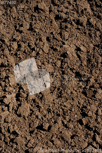 Image of soil 