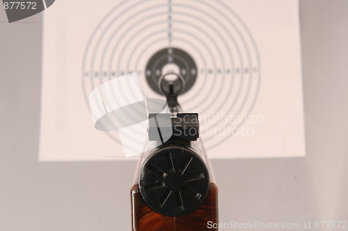 Image of Air gun with a target.