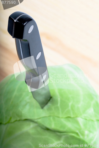 Image of green cabbage with knife