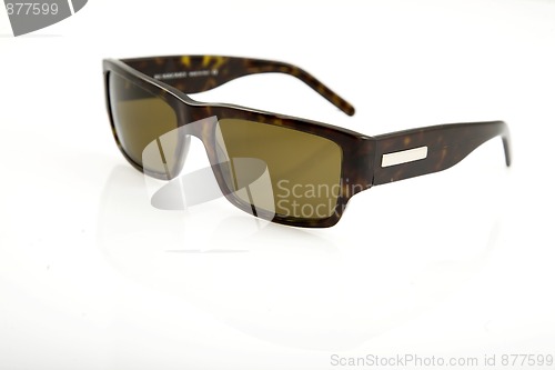 Image of brown sunglasses