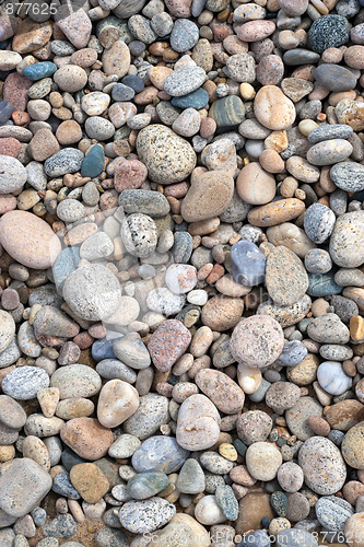 Image of Sea Shore Stones Texture