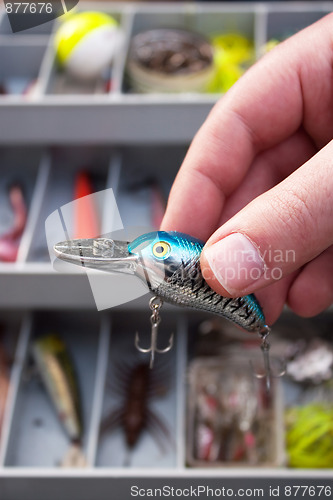 Image of Fisherman Choosing a Lure